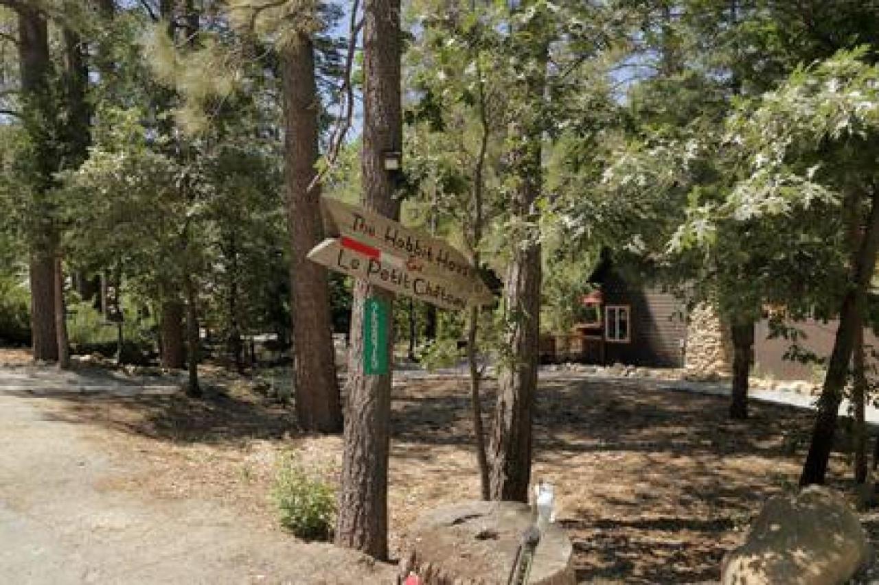 Villa La Petite - Charming In Town Idyllwild Exterior foto